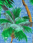 Coco Palm